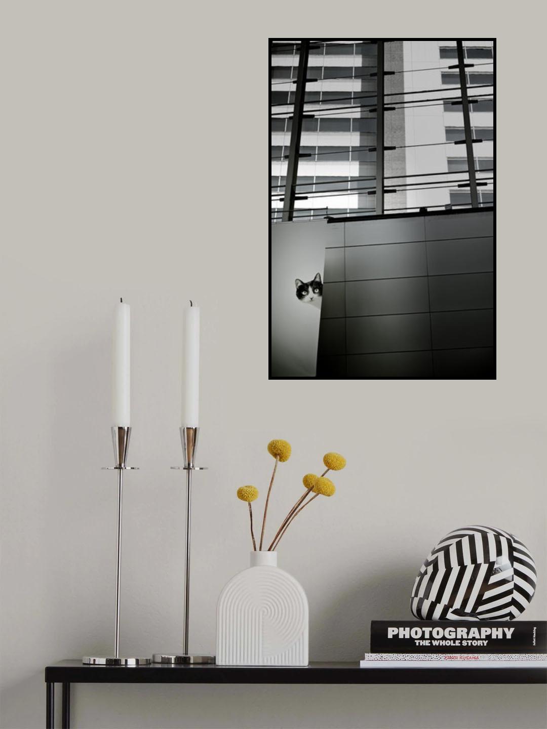 By chance Poster och Canvastavla