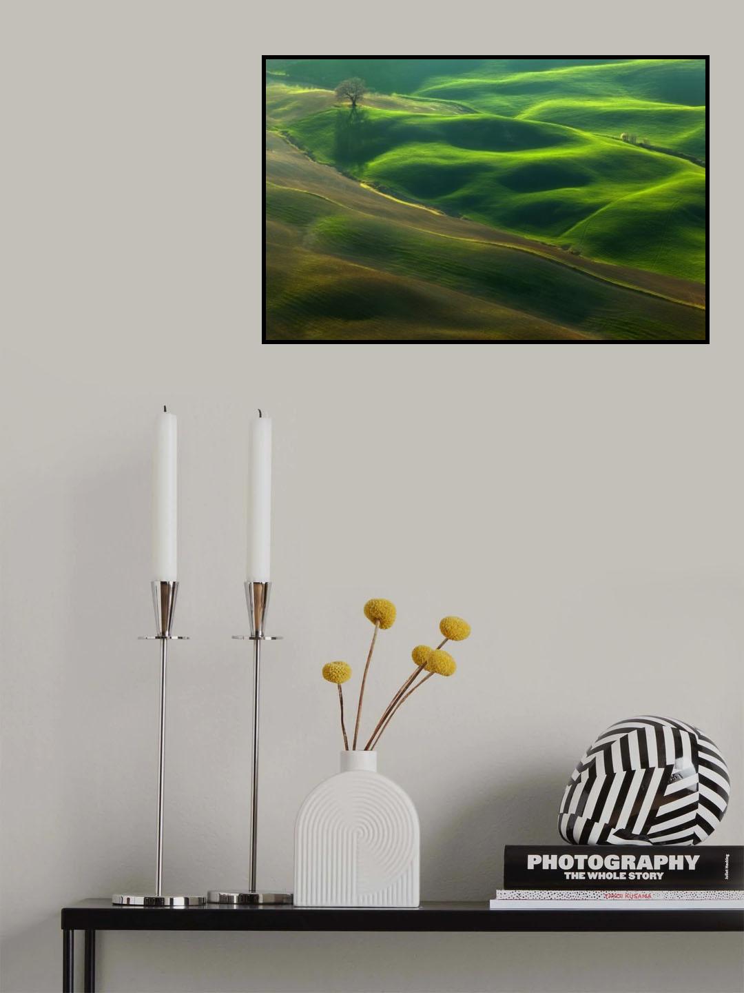 Oak... Poster och Canvastavla