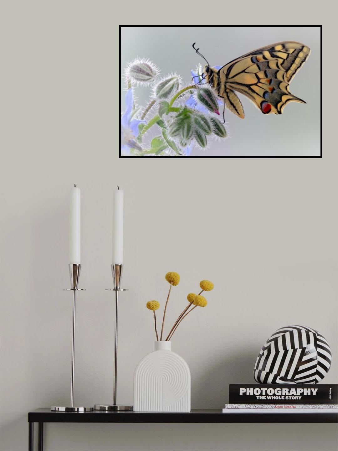 Macaon Poster och Canvastavla