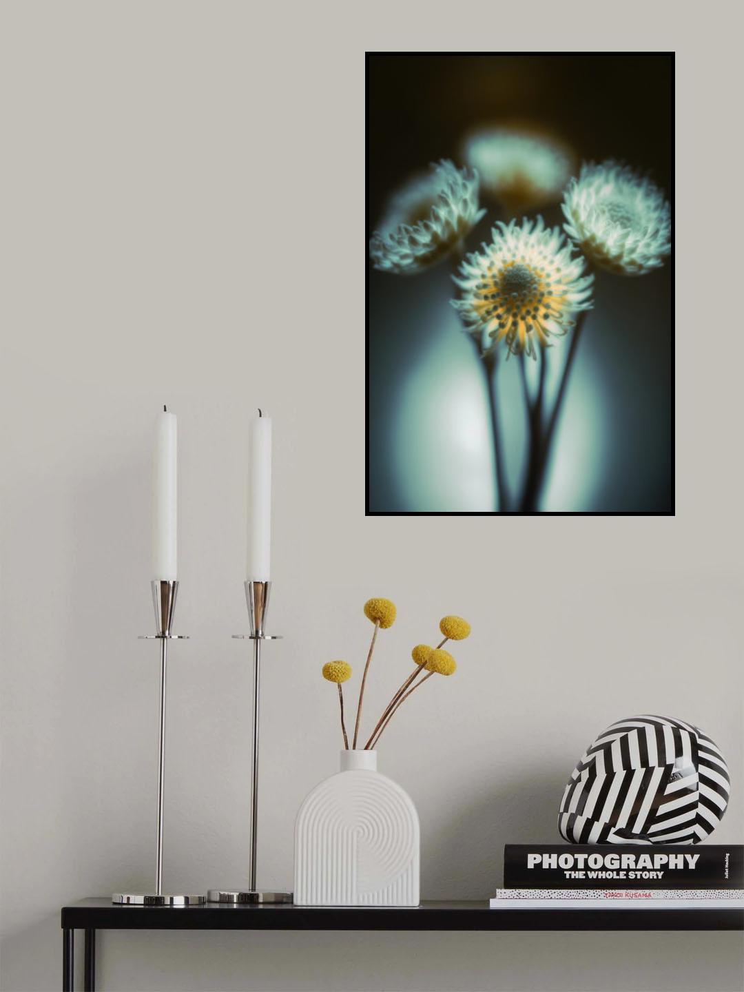 Low Light Poster och Canvastavla