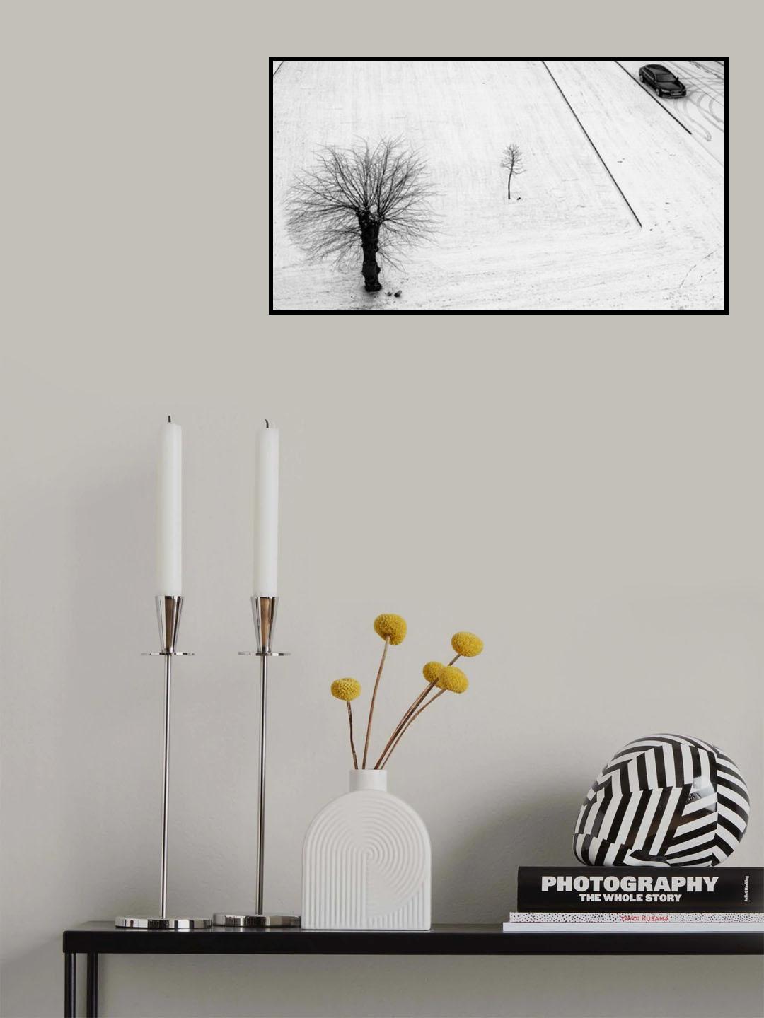two trees for one car Poster och Canvastavla