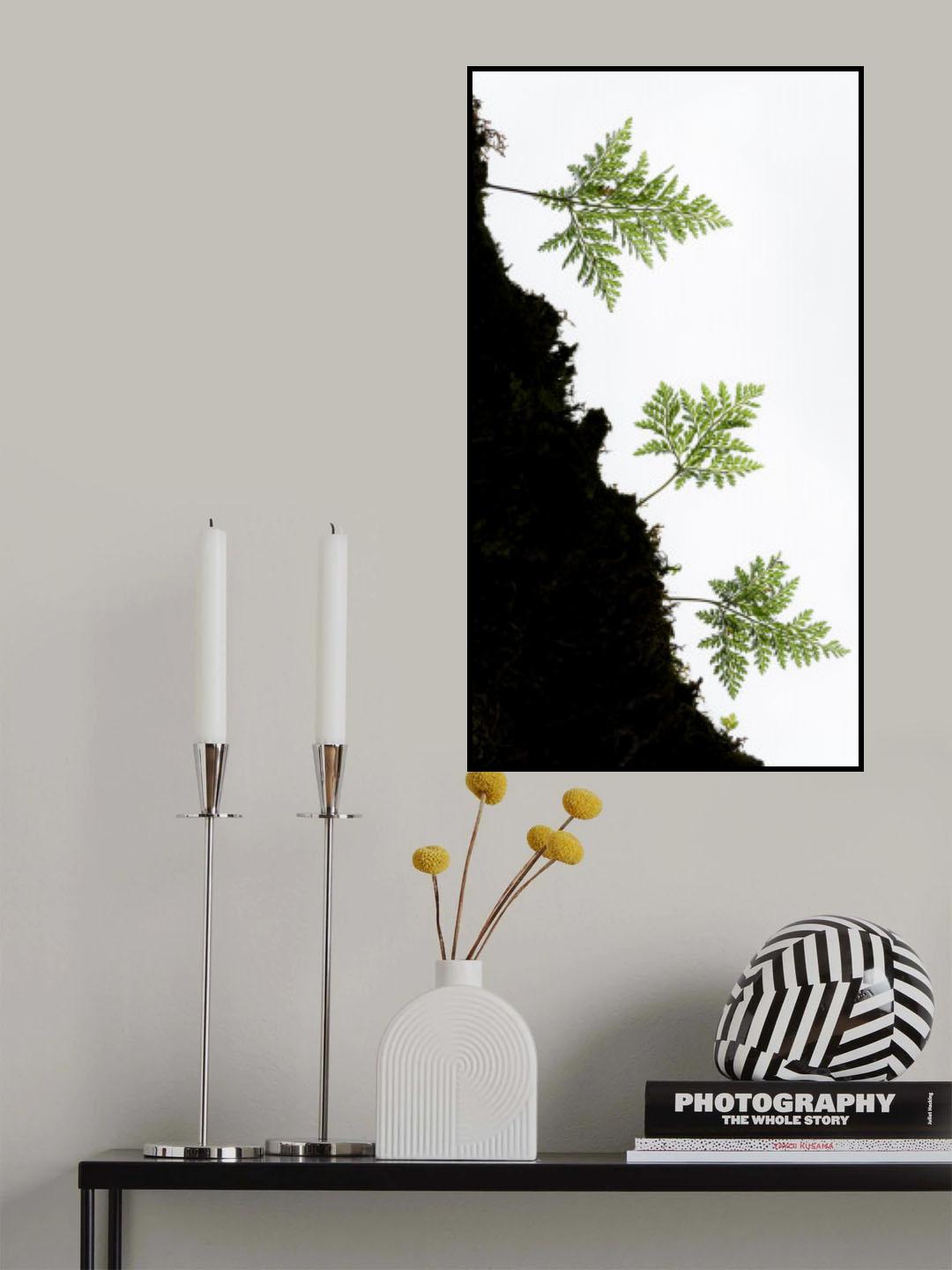 Fern Detail vertical Poster och Canvastavla