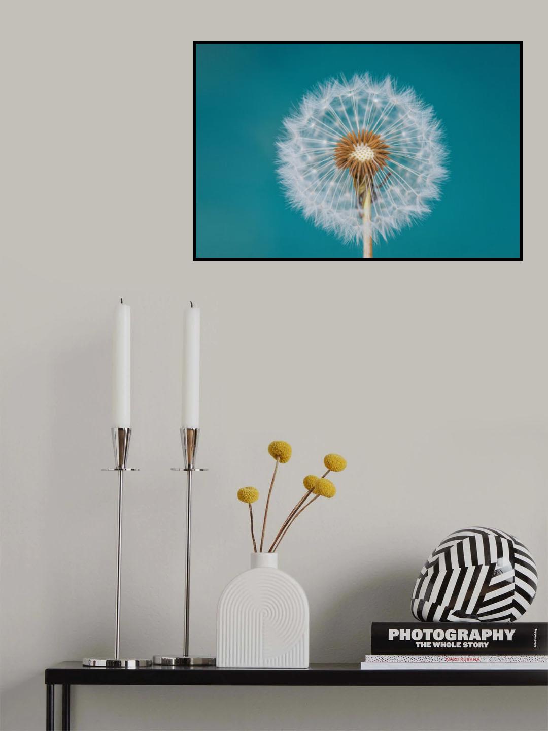 Dandelion Poster och Canvastavla