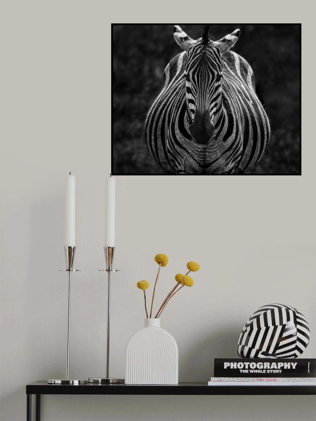 Stare Poster och Canvastavla