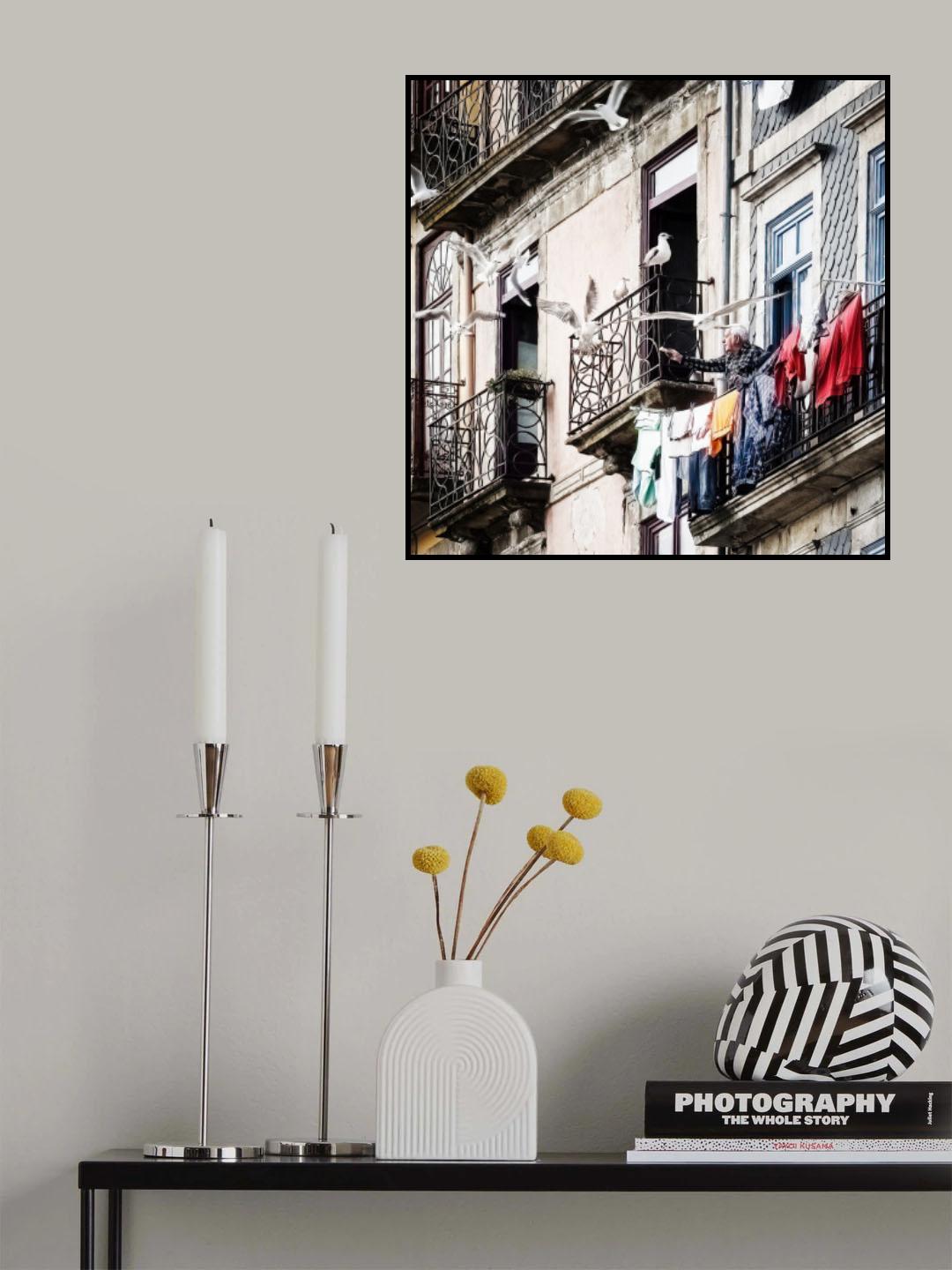 seagulls feeder Poster och Canvastavla