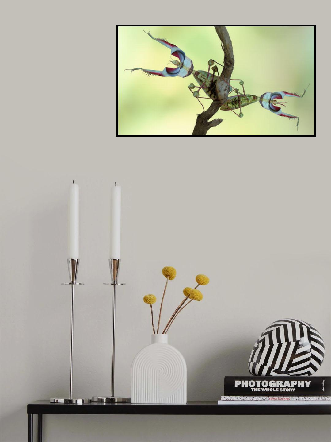 Double threat Poster och Canvastavla