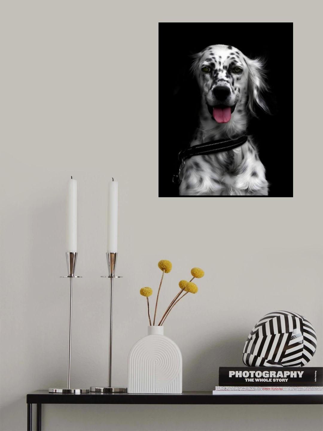 Poster och Canvastavla