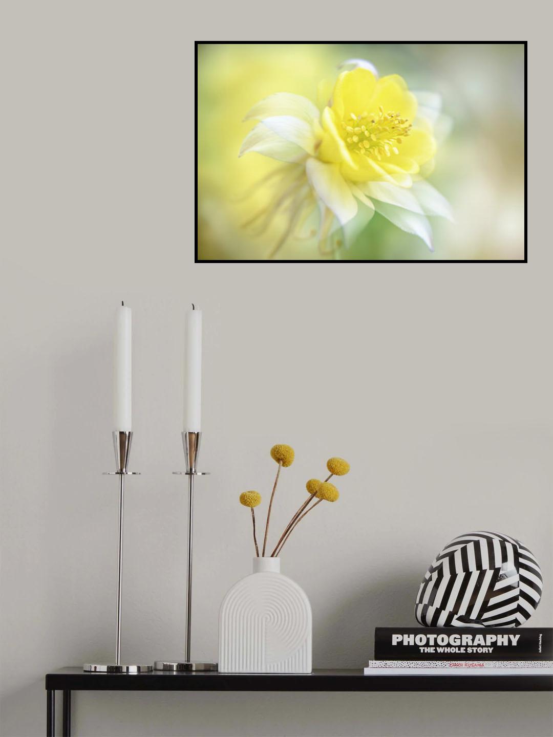 Mellow Poster och Canvastavla
