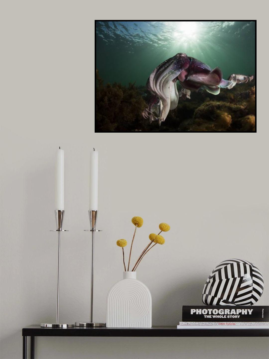 Showing Off Poster och Canvastavla