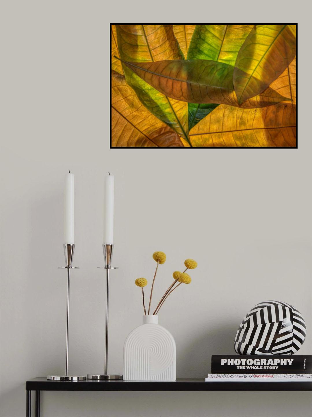 Colors of nature Poster och Canvastavla