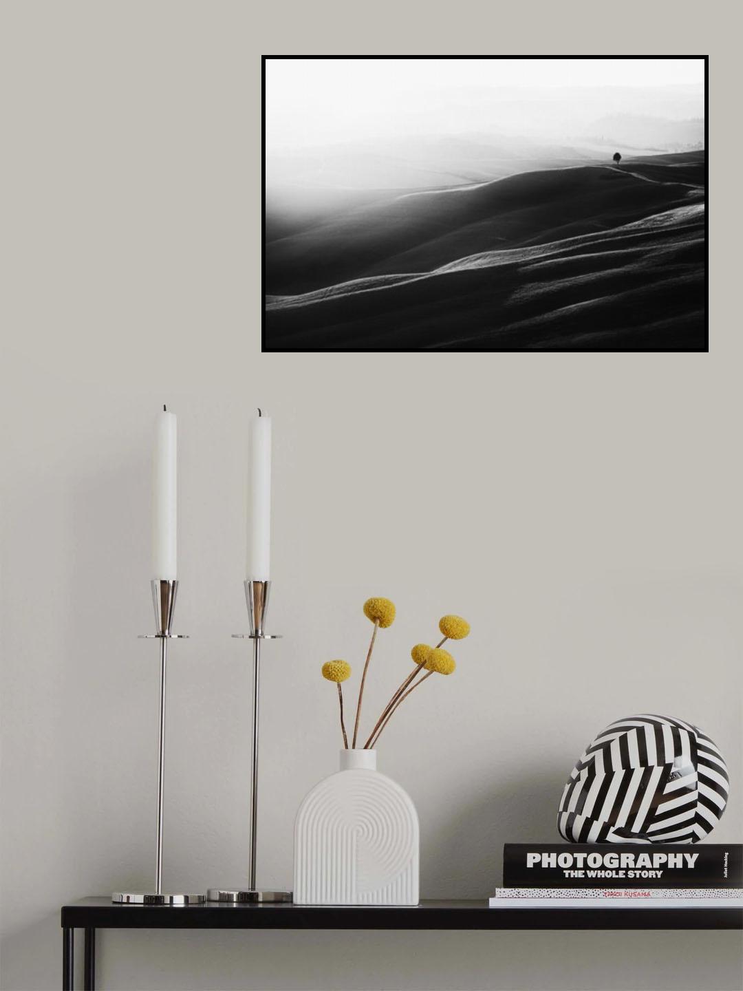 First Light Poster och Canvastavla