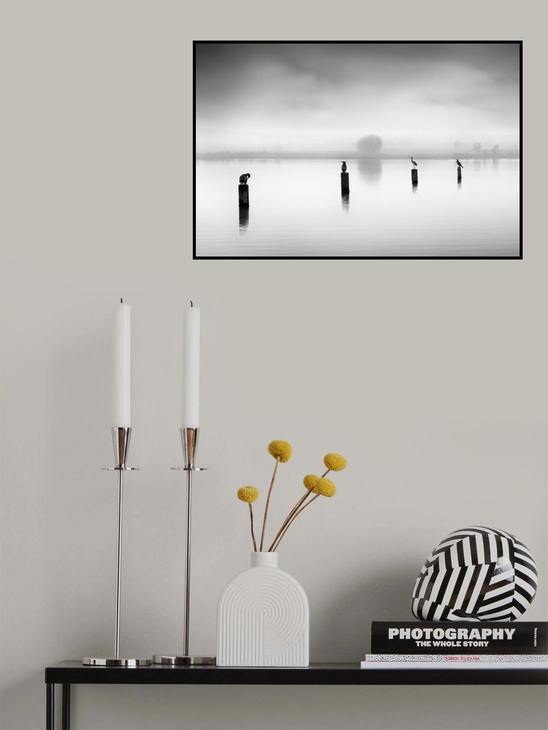 Three Cormorants and one Heron Poster och Canvastavla