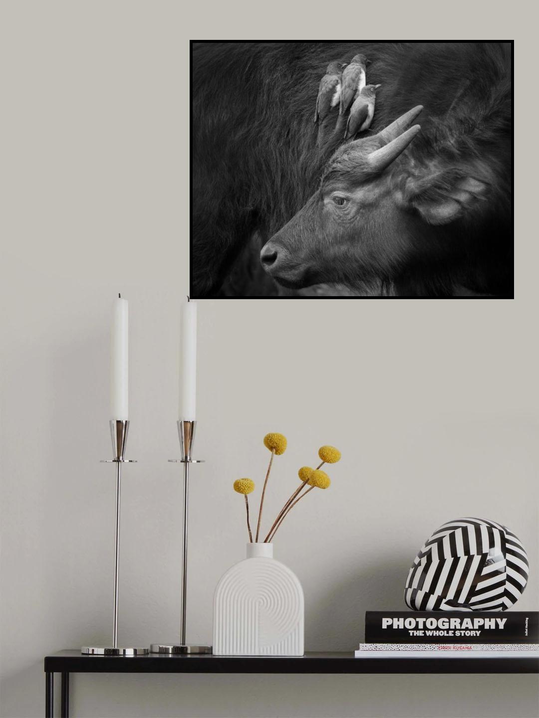 Three is a Crowd! Poster och Canvastavla