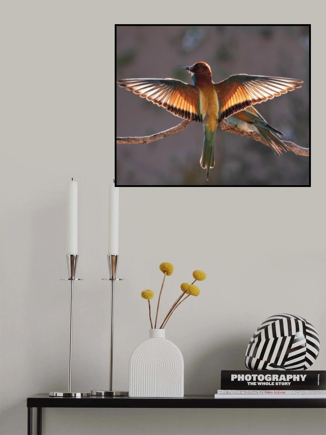 The bee-eater in the light Poster och Canvastavla
