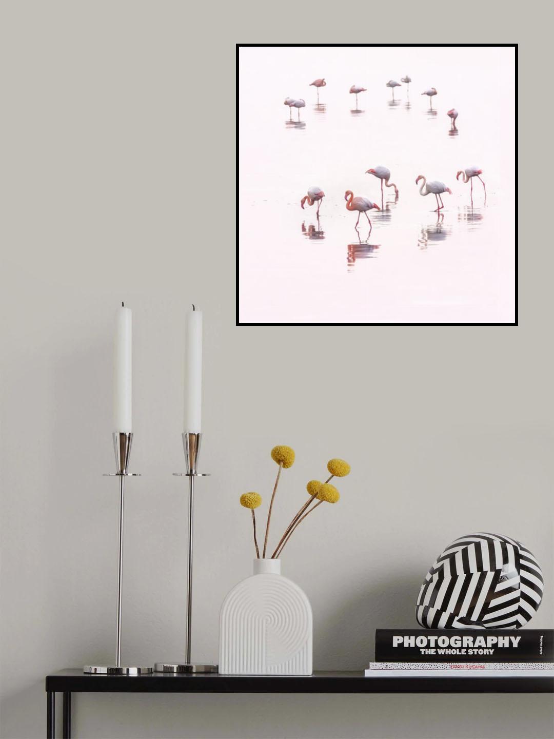 Water ballet Poster och Canvastavla