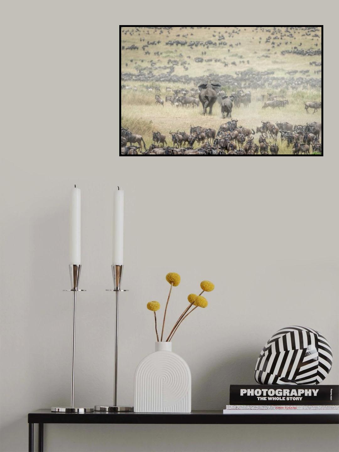 The last Charge Poster och Canvastavla