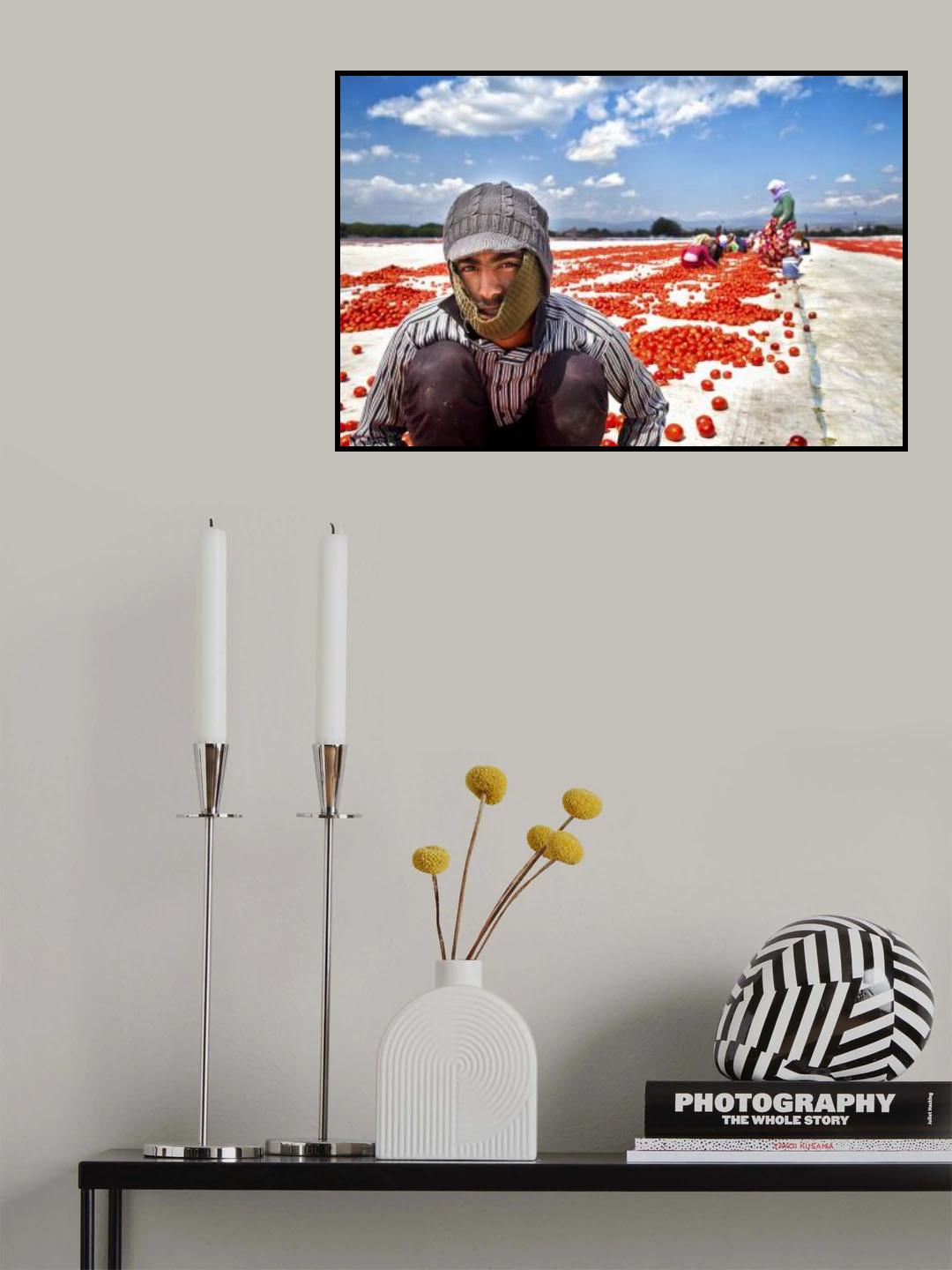 tomato worker Poster och Canvastavla