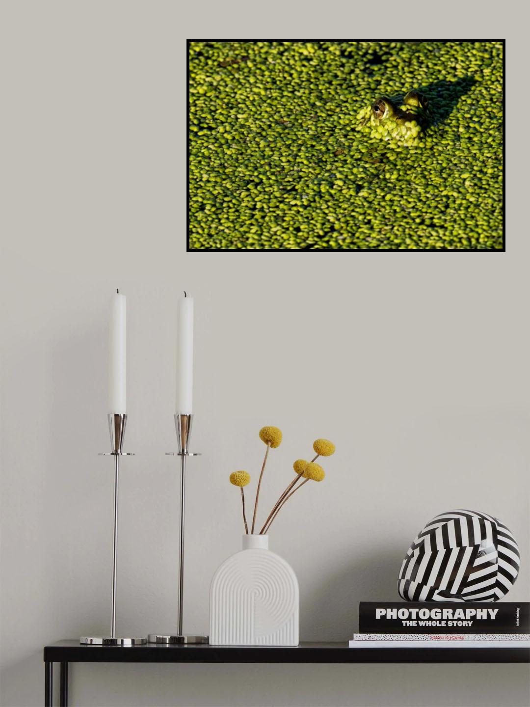 Camouflage Poster och Canvastavla