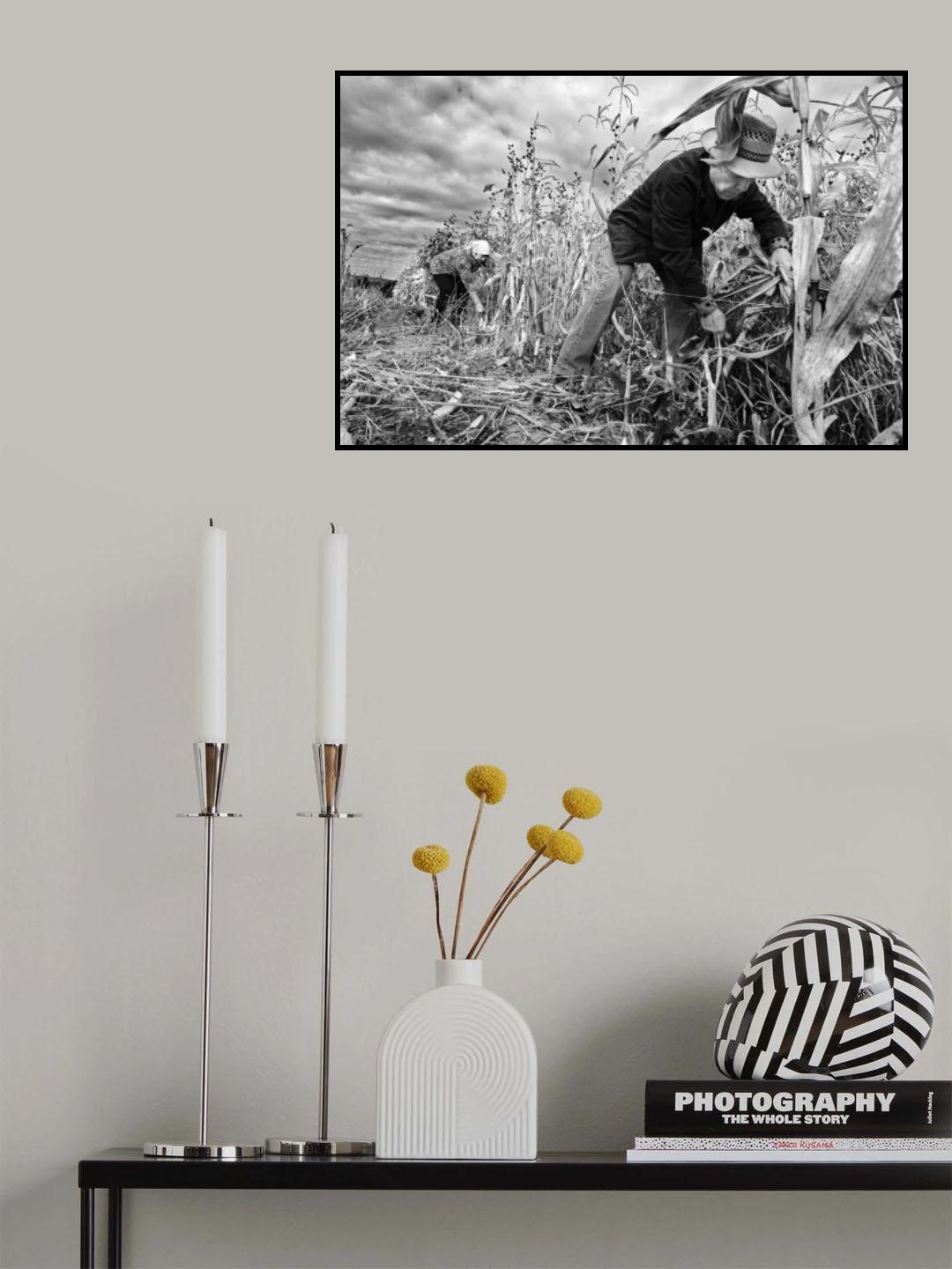 Poster och Canvastavla
