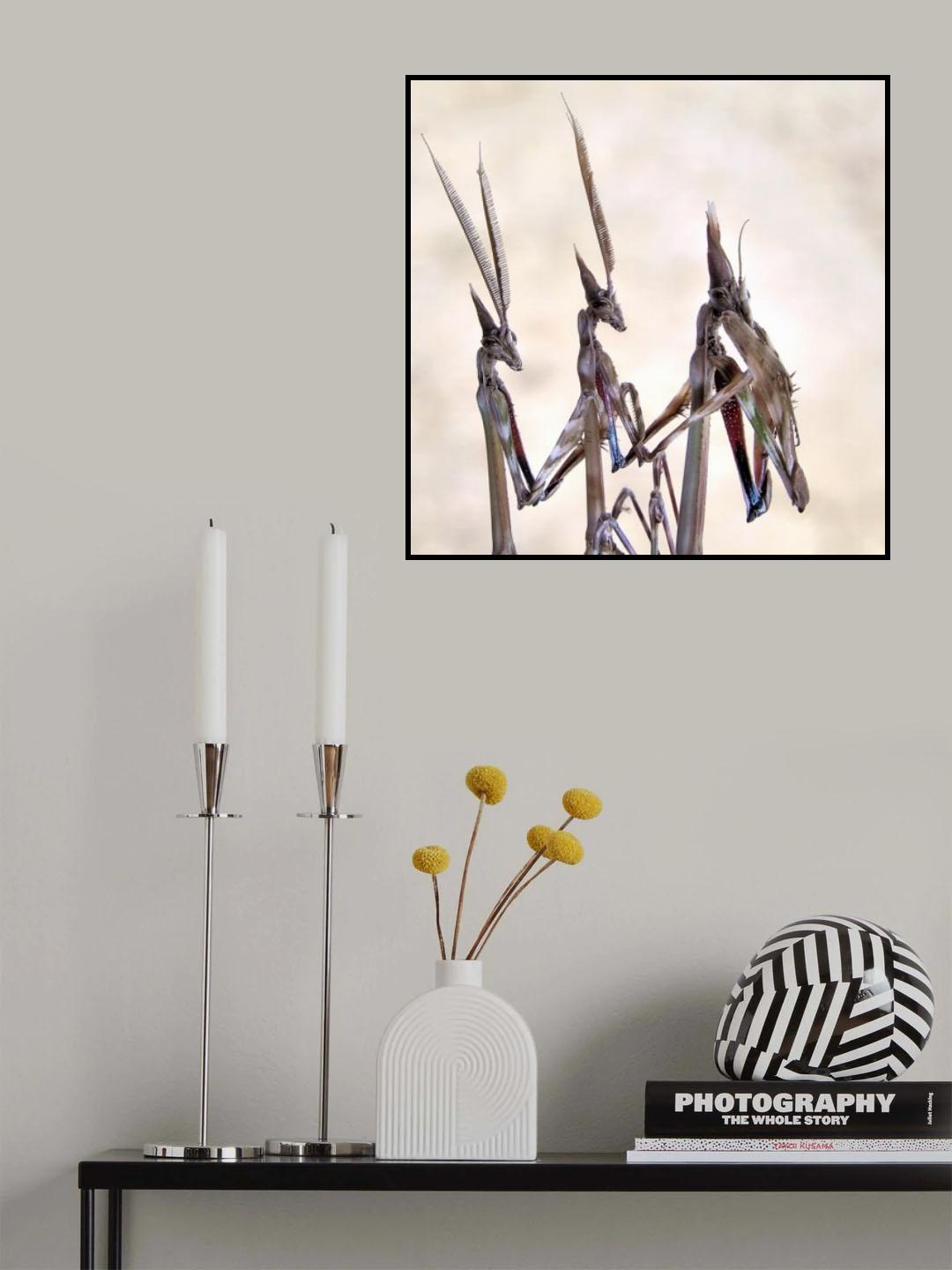 Trio Poster och Canvastavla