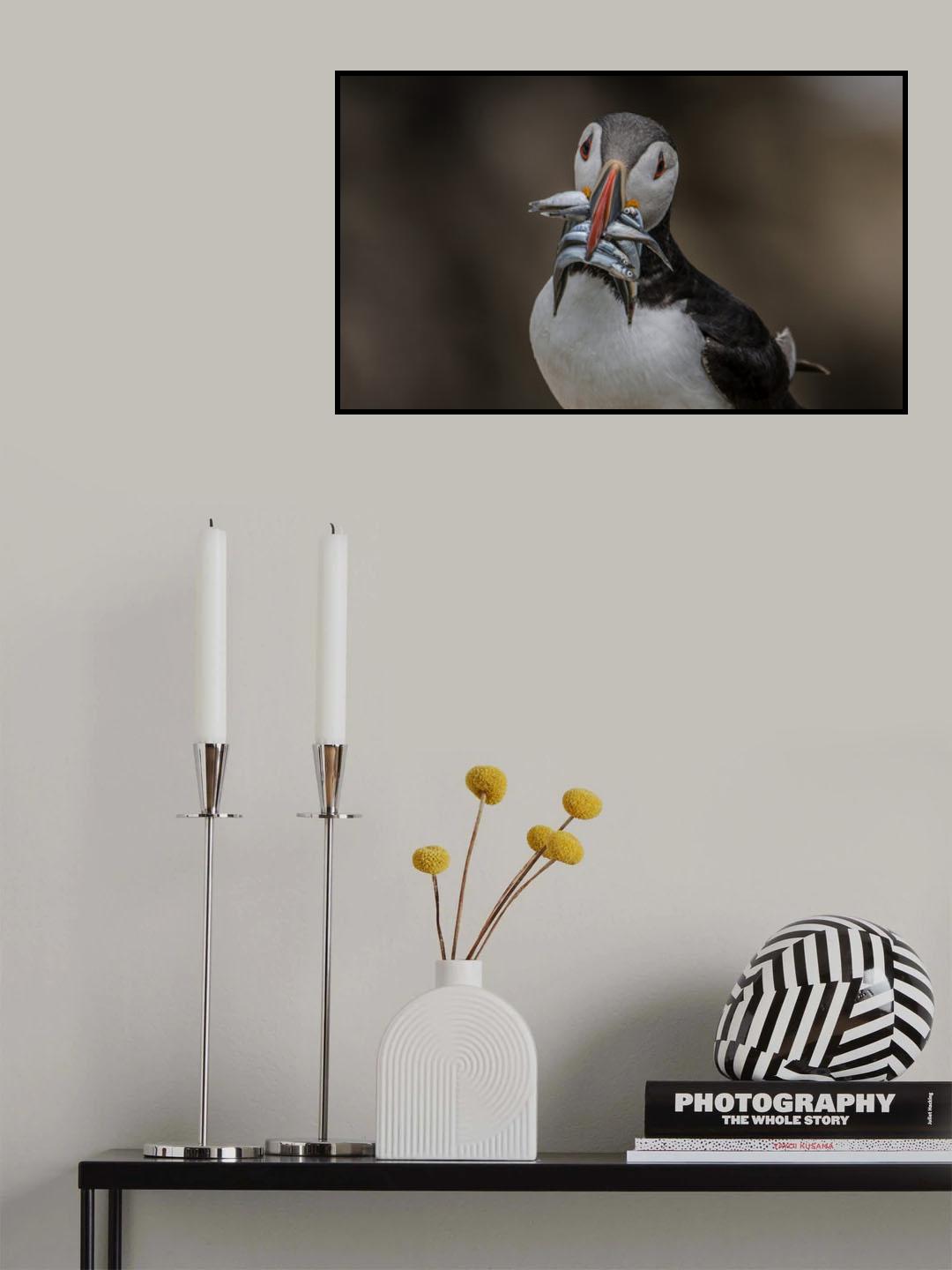 Puffins Dinner Poster och Canvastavla