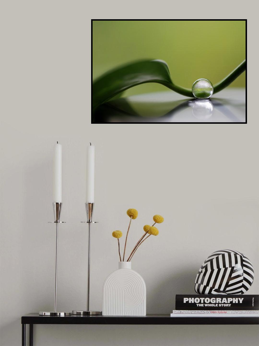 Green harmony Poster och Canvastavla