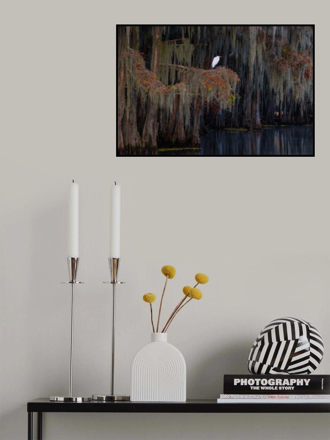 White heron on the Spanish moss Poster och Canvastavla
