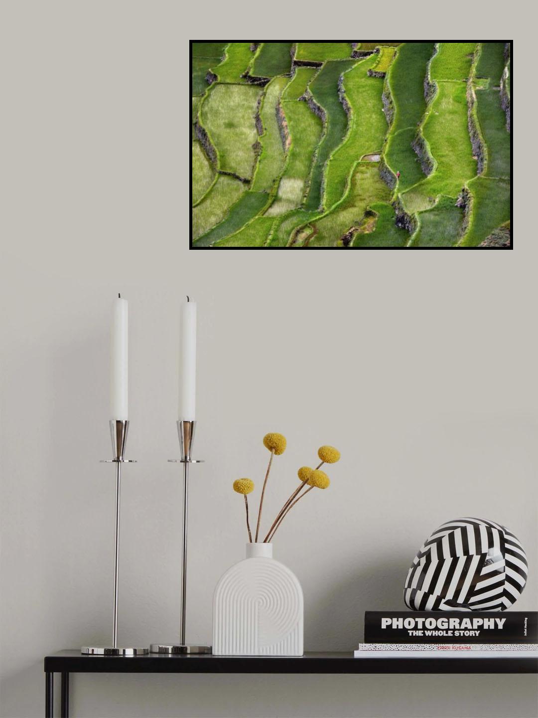 Terrace walking Poster och Canvastavla