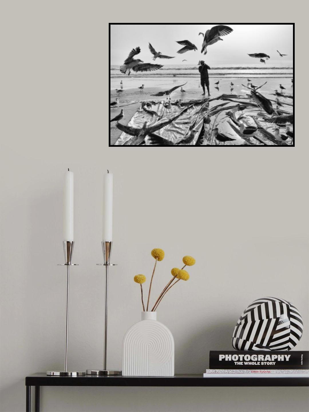 Salt Lives #31 Poster och Canvastavla