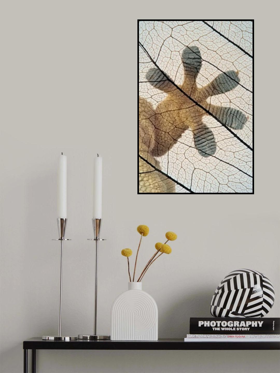Gecko-paw Poster och Canvastavla