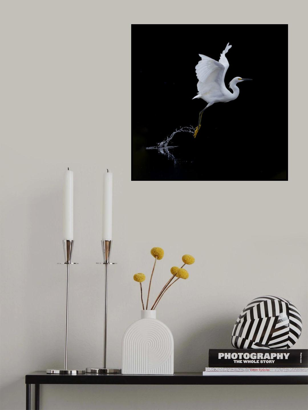 fly Poster och Canvastavla