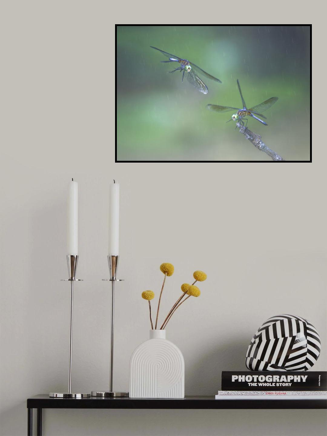 Dragonfly Poster och Canvastavla