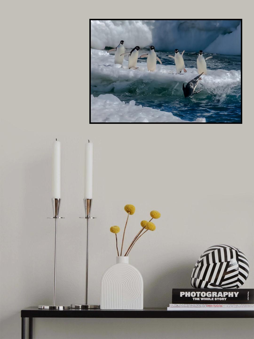 Cheerleaders Poster och Canvastavla