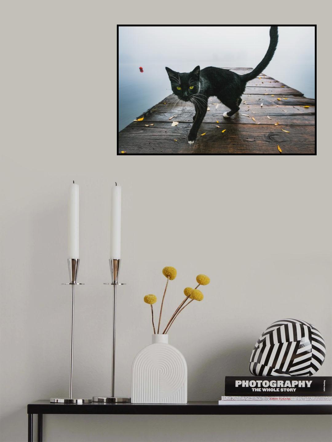 Kitty Poster och Canvastavla
