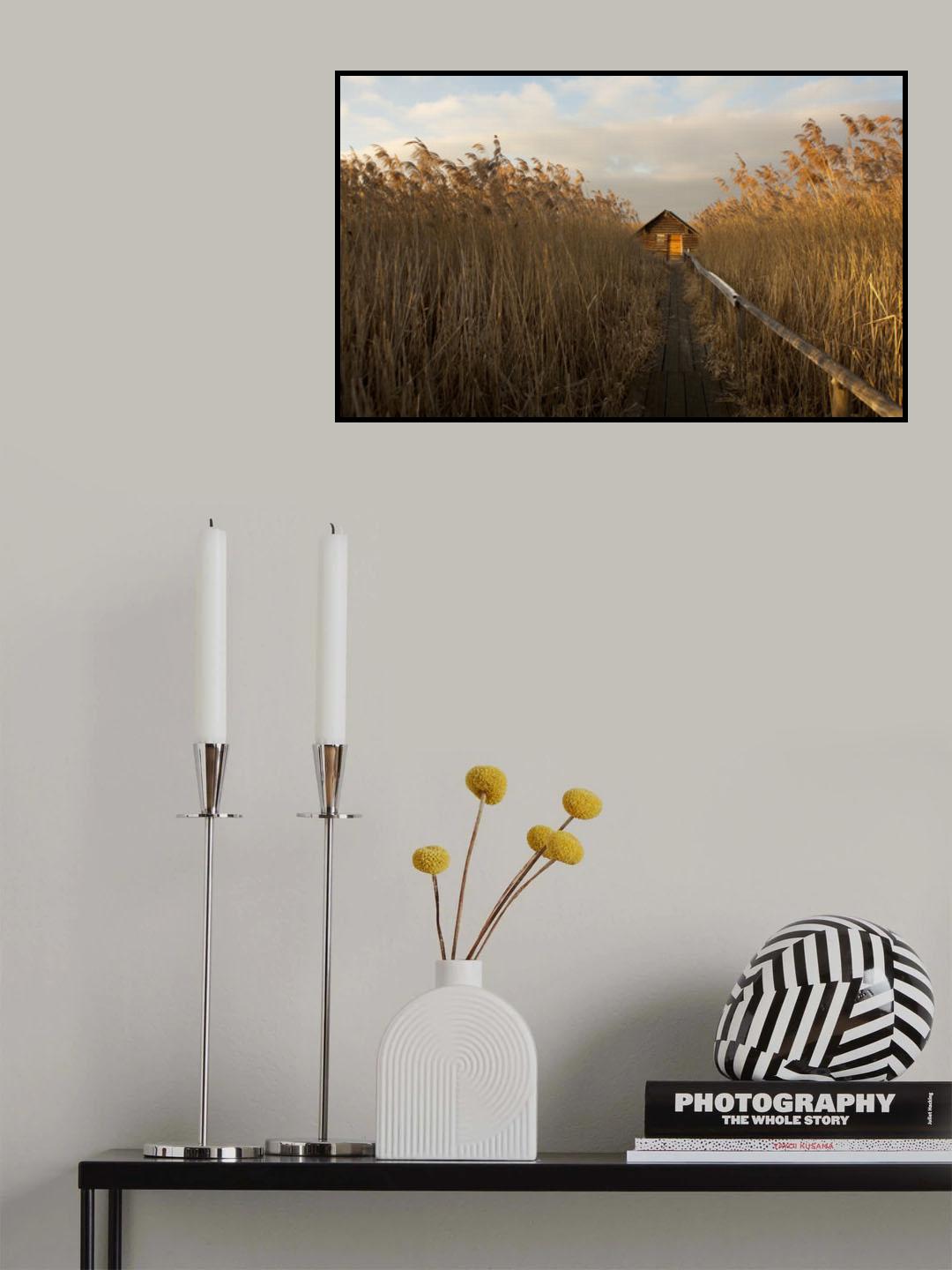 home sweet home Poster och Canvastavla