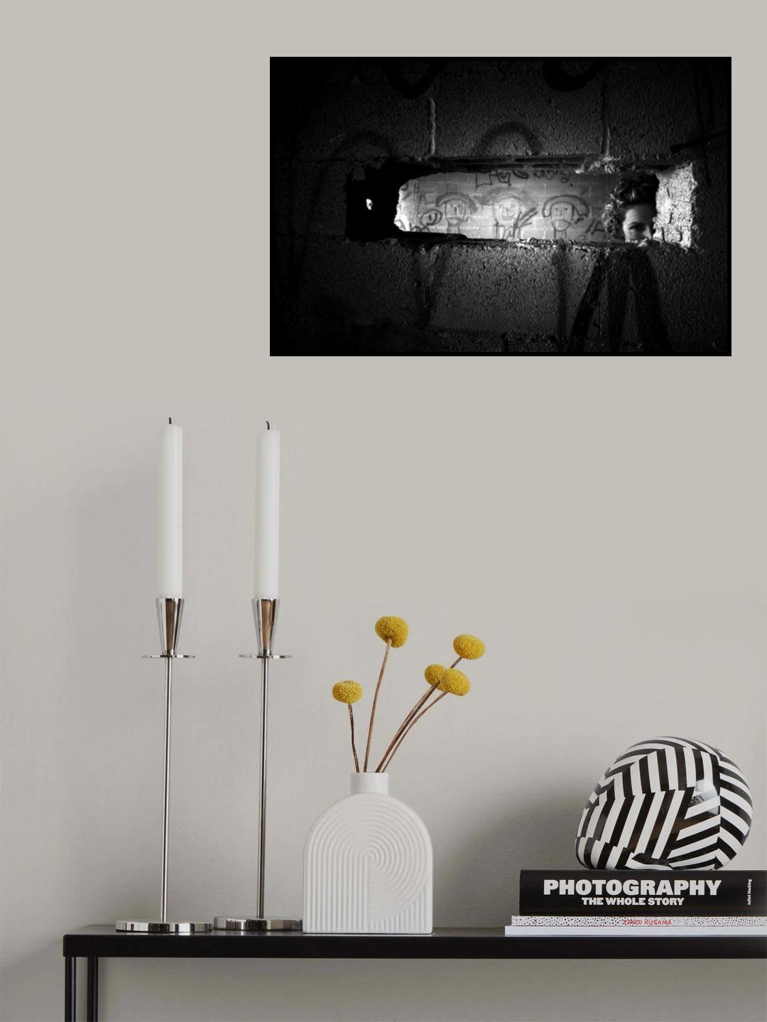 Looking over the wall Poster och Canvastavla