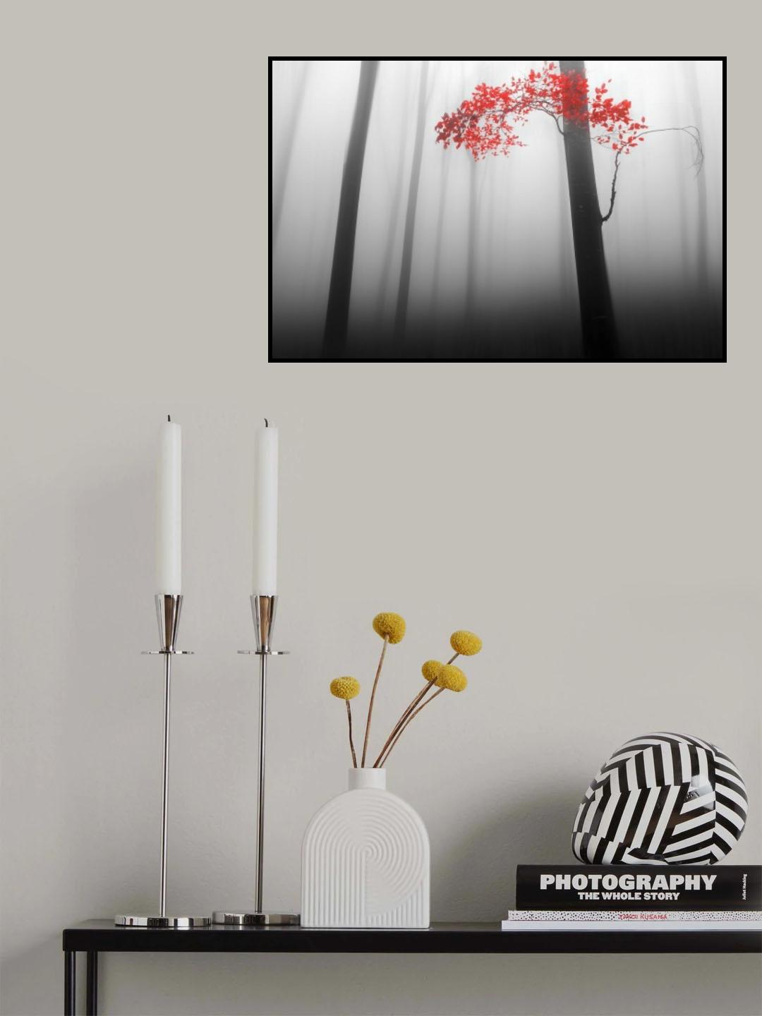 illusion Poster och Canvastavla