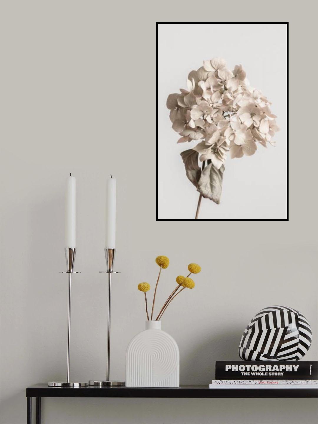 Beige dried flower Poster och Canvastavla