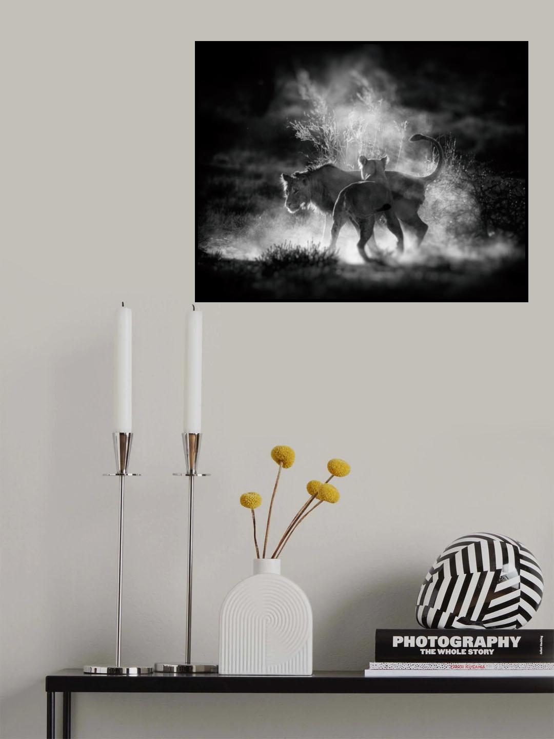 DUST Poster och Canvastavla