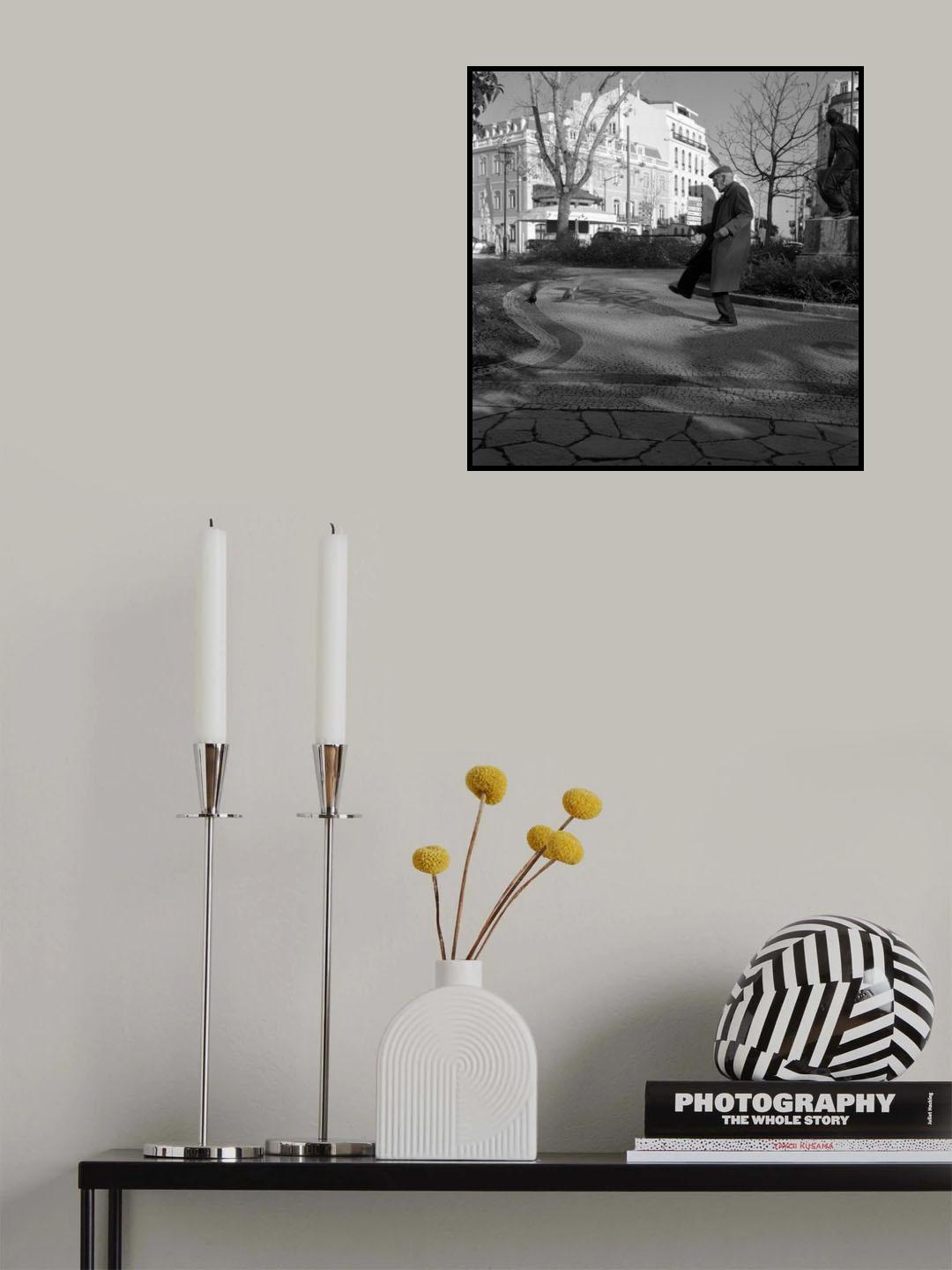 Dances with pigeons Poster och Canvastavla