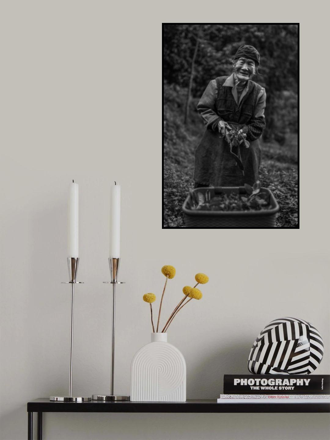 The herb-gathering woman Poster och Canvastavla