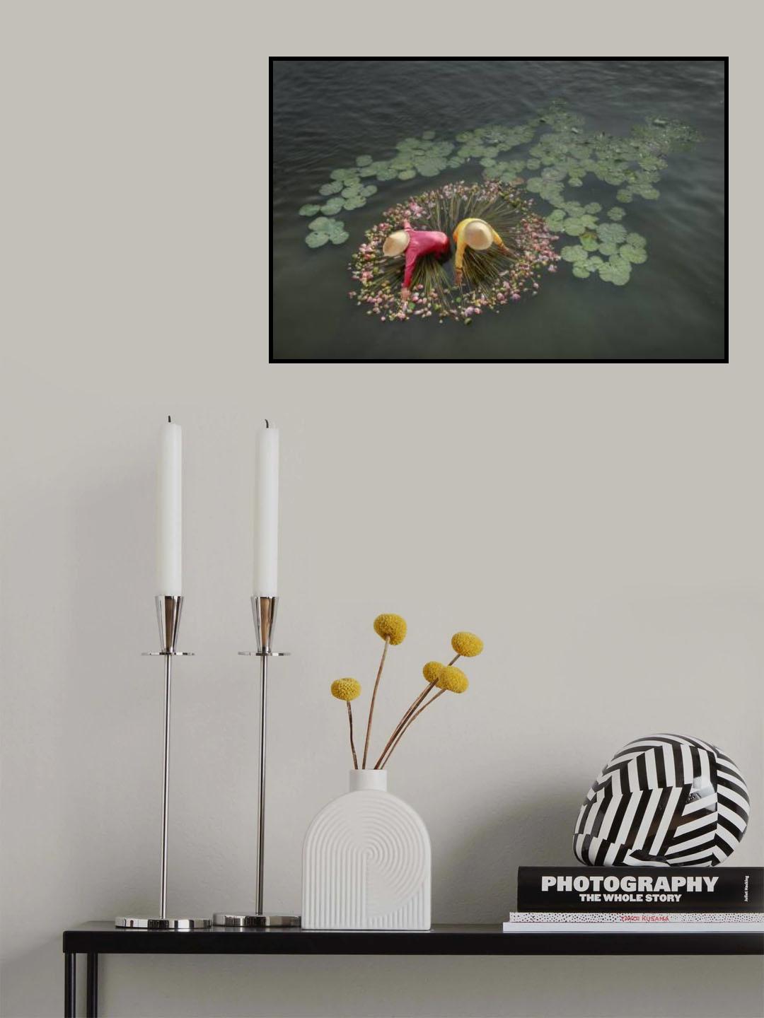 Lotus Harvest Poster och Canvastavla