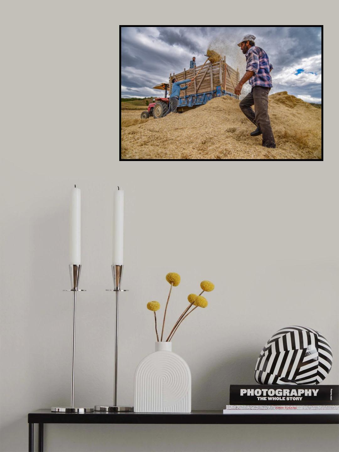 Harvest Time Poster och Canvastavla