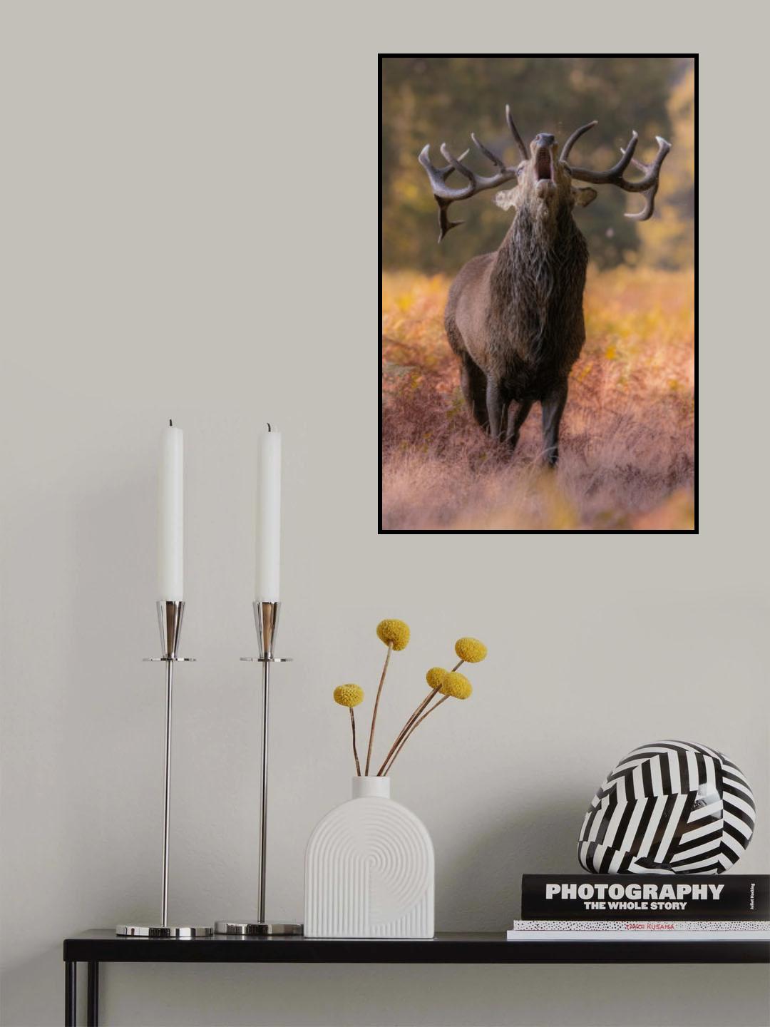 The stag roaring Poster och Canvastavla