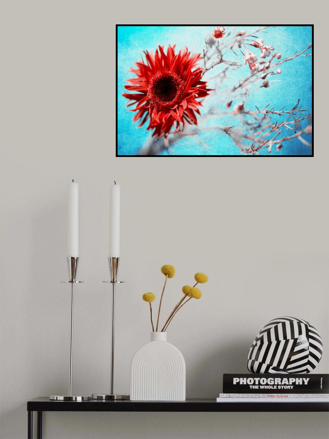 marigold Poster och Canvastavla
