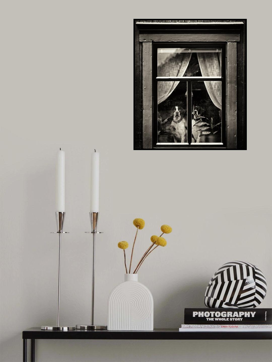 Dogs Poster och Canvastavla