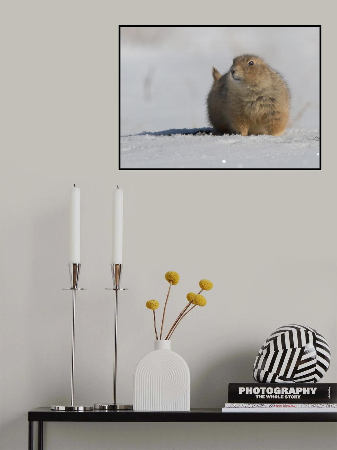 A snow day in south Poster och Canvastavla