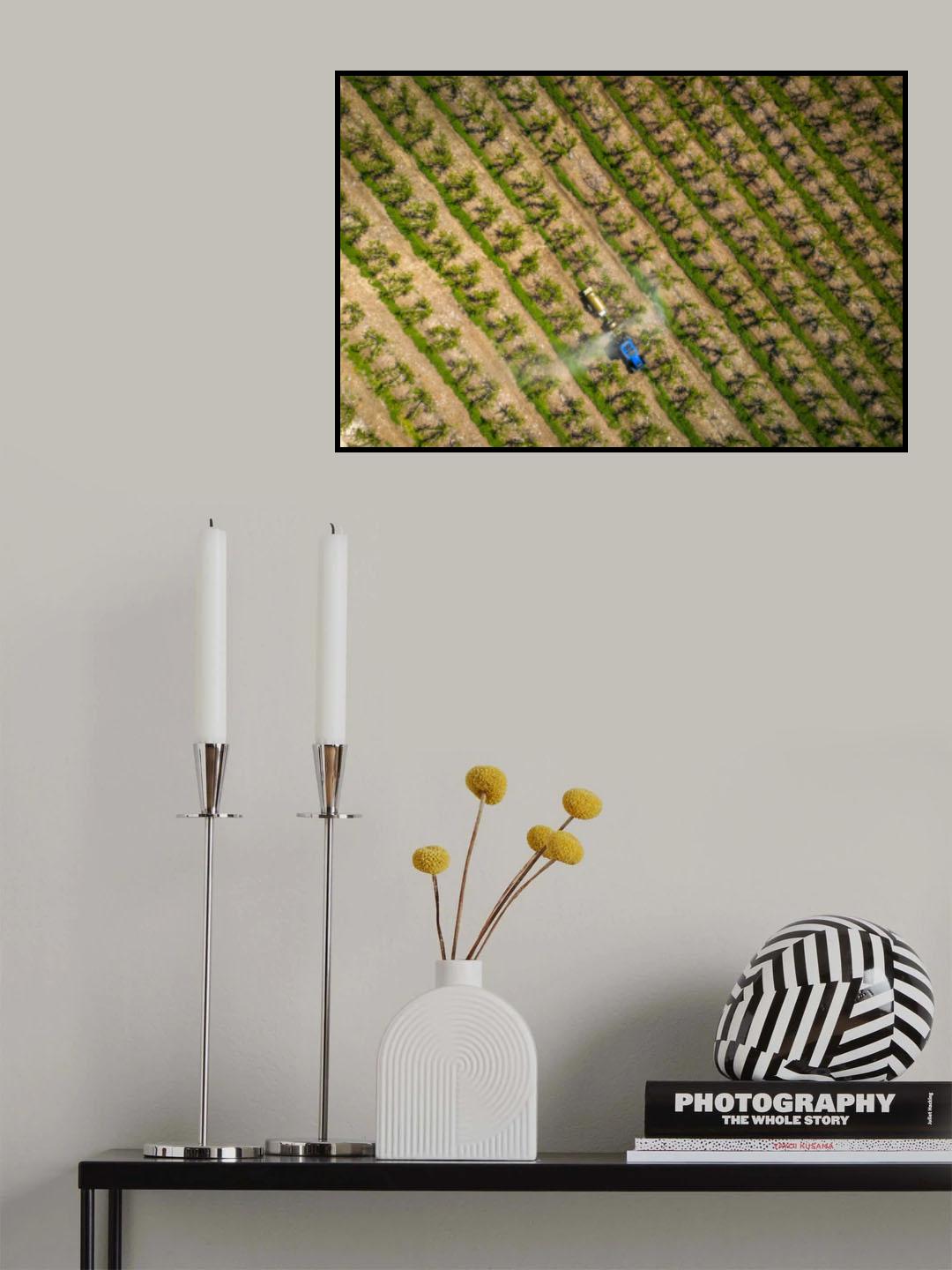 Agriculture from above Poster och Canvastavla