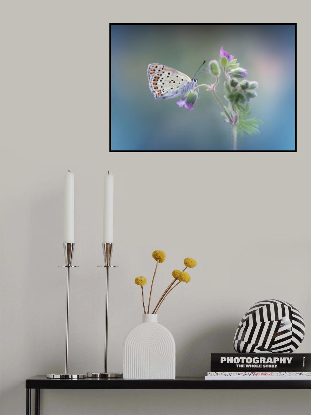 Sooty Copper Poster och Canvastavla