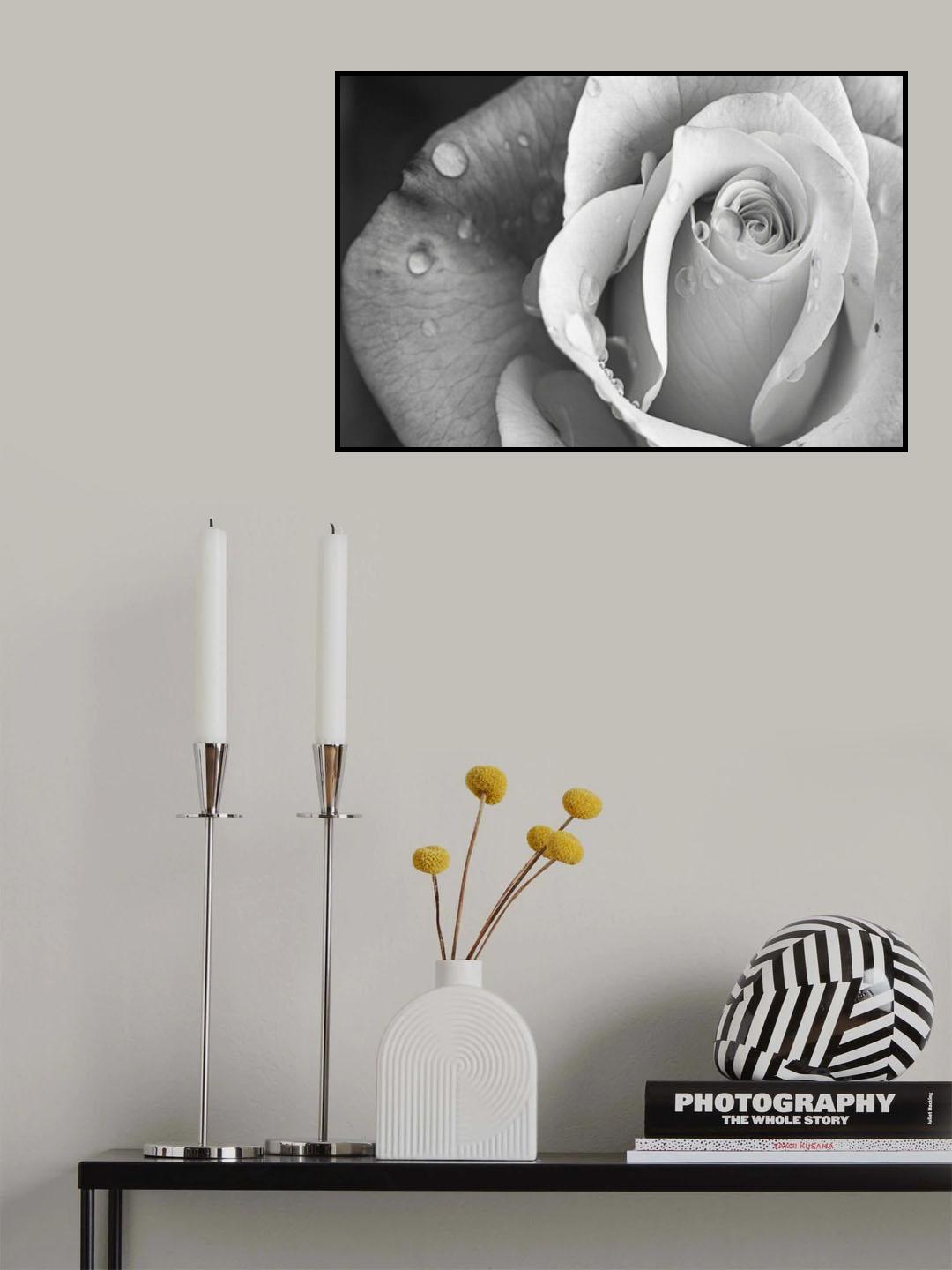Rain Drops Poster och Canvastavla